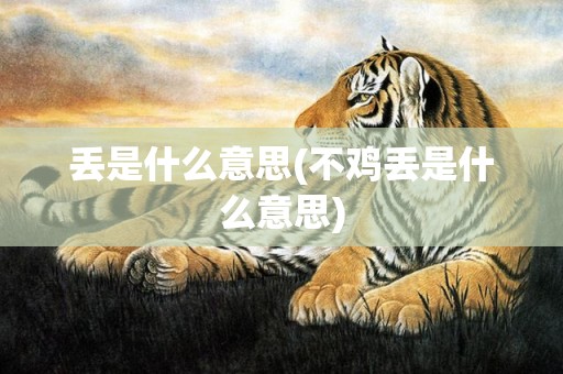 丢是什么意思(不鸡丢是什么意思)