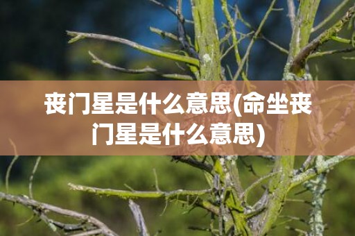 丧门星是什么意思(命坐丧门星是什么意思)
