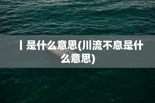 丨是什么意思(川流不息是什么意思)