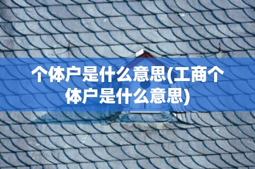 个体户是什么意思(工商个体户是什么意思)