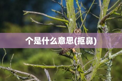 个是什么意思(抠鼻)