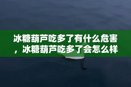 冰糖葫芦吃多了有什么危害，冰糖葫芦吃多了会怎么样