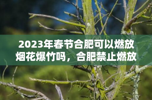 2023年春节合肥可以燃放烟花爆竹吗，合肥禁止燃放烟花爆竹类型是什么