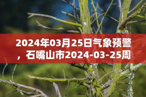 2024年03月25日气象预警，石嘴山市2024-03-25周一天气预报 大部晴转多云