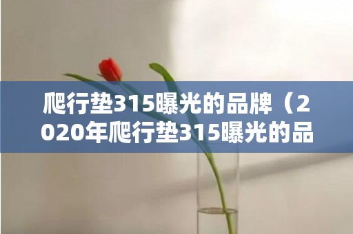 爬行垫315曝光的品牌（2020年爬行垫315曝光的品牌）