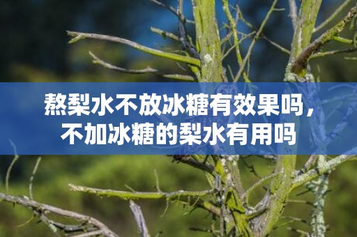 熬梨水不放冰糖有效果吗，不加冰糖的梨水有用吗