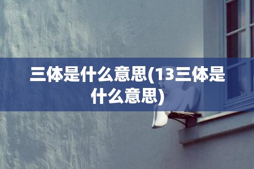 三体是什么意思(13三体是什么意思)