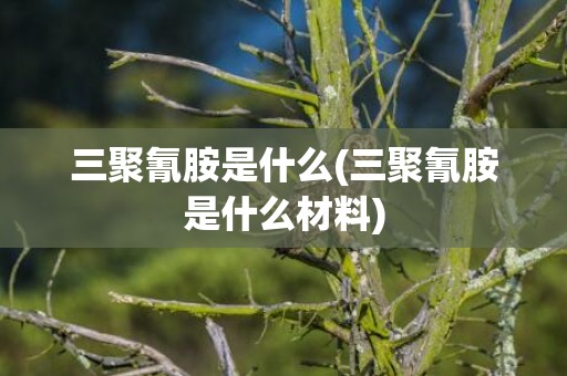 三聚氰胺是什么(三聚氰胺是什么材料)