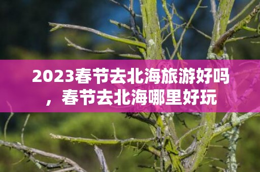 2023春节去北海旅游好吗，春节去北海哪里好玩