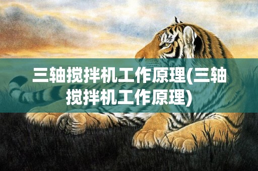 三轴搅拌机工作原理(三轴搅拌机工作原理)