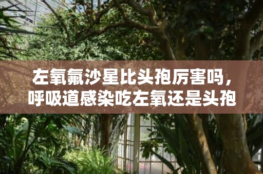 左氧氟沙星比头孢厉害吗，呼吸道感染吃左氧还是头孢好