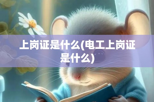 上岗证是什么(电工上岗证是什么)
