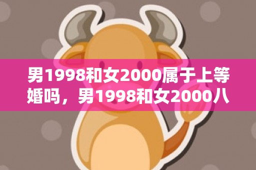 男1998和女2000属于上等婚吗，男1998和女2000八字合吗，98年虎和00年龙相合吗