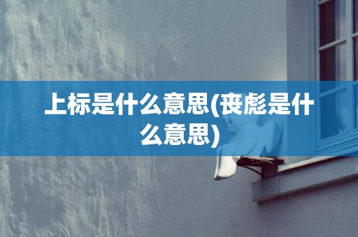 上标是什么意思(丧彪是什么意思)