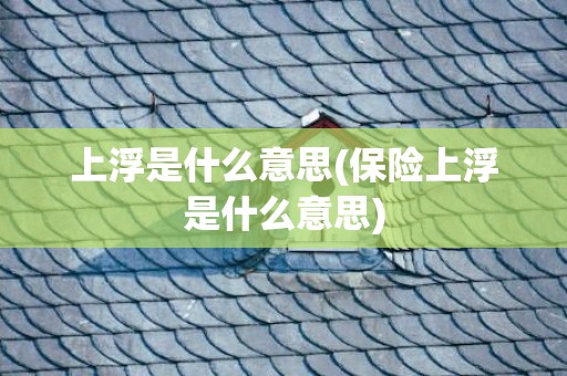 上浮是什么意思(保险上浮是什么意思)