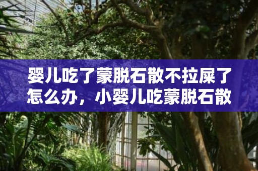婴儿吃了蒙脱石散不拉屎了怎么办，小婴儿吃蒙脱石散最多吃几天