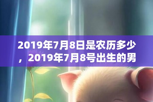 2019年7月8日是农历多少，2019年7月8号出生的男宝宝五行缺木要如何起名字