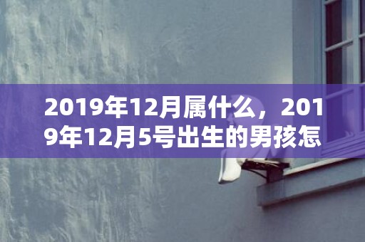 2019年12月属什么，2019年12月5号出生的男孩怎么起名字，五行属什么