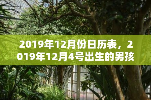 2019年12月份日历表，2019年12月4号出生的男孩怎么起名字，五行属什么