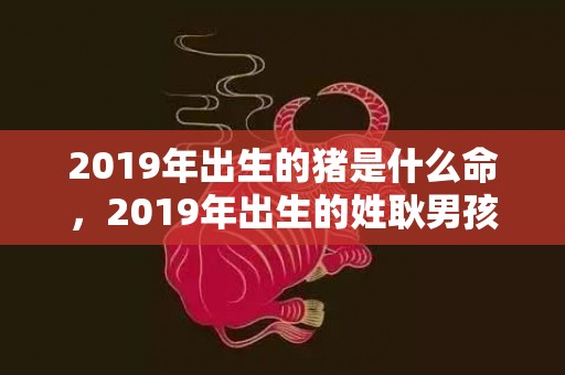 2019年出生的猪是什么命，2019年出生的姓耿男孩如何起名，宜用什么字