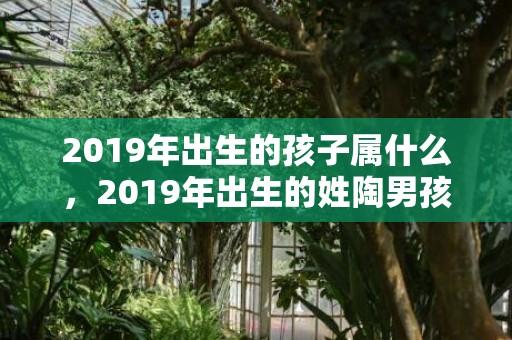 2019年出生的孩子属什么，2019年出生的姓陶男孩如何起名，宜用什么字
