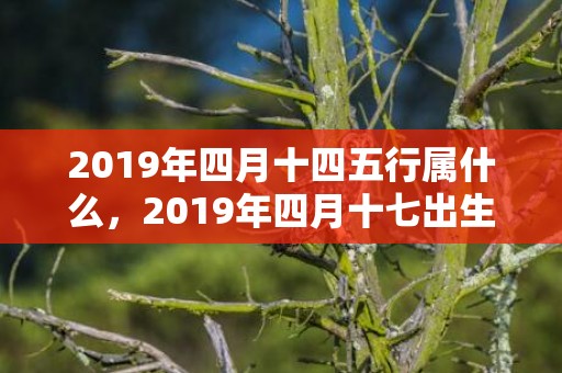 2019年四月十四五行属什么，2019年四月十七出生的双胞胎男孩如何起名字，五行属什么