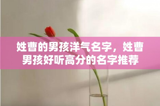 姓曹的男孩洋气名字，姓曹男孩好听高分的名字推荐