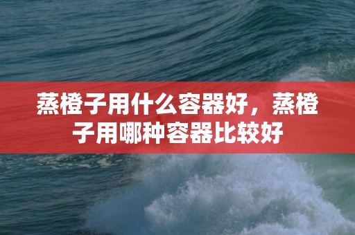 蒸橙子用什么容器好，蒸橙子用哪种容器比较好