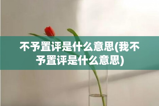 不予置评是什么意思(我不予置评是什么意思)