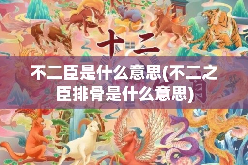 不二臣是什么意思(不二之臣排骨是什么意思)