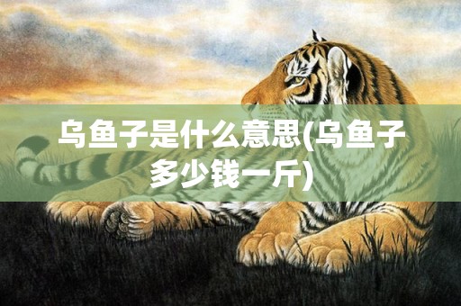 乌鱼子是什么意思(乌鱼子多少钱一斤)