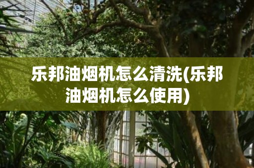 乐邦油烟机怎么清洗(乐邦油烟机怎么使用)