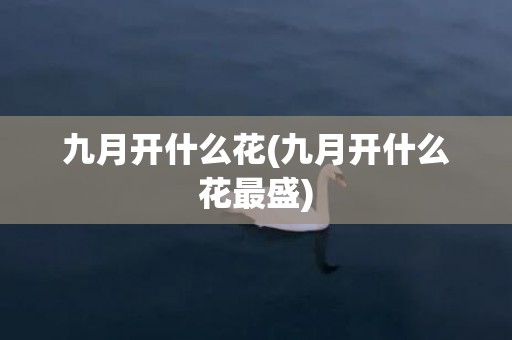 九月开什么花(九月开什么花最盛)