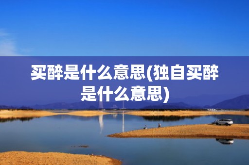 买醉是什么意思(独自买醉是什么意思)