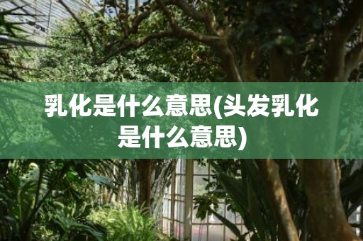乳化是什么意思(头发乳化是什么意思)