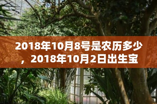 2018年10月8号是农历多少，2018年10月2日出生宝宝小名怎么取？小名取名有哪些技巧？