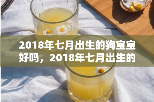 2018年七月出生的狗宝宝好吗，2018年七月出生的男孩名字起名，五行宝宝名字推荐