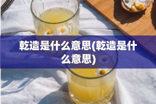 乾造是什么意思(乾造是什么意思)