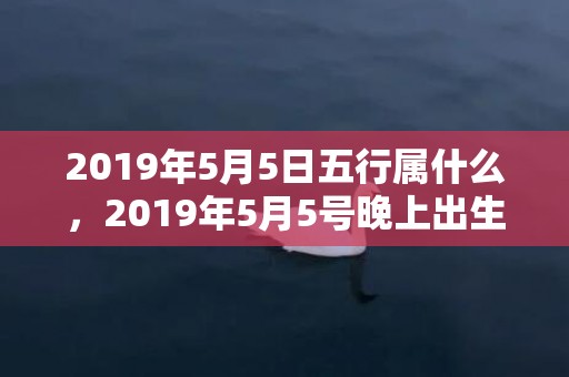 2019年5月5日五行属什么，2019年5月5号晚上出生的女孩怎么样起名字