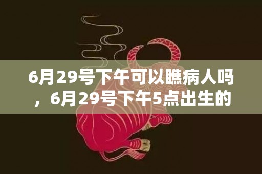 6月29号下午可以瞧病人吗，6月29号下午5点出生的女宝宝怎么起名