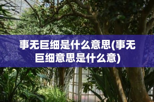 事无巨细是什么意思(事无巨细意思是什么意)