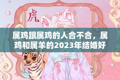 属鸡跟属鸡的人合不合，属鸡和属羊的2023年结婚好吗，鸡和羊合适结婚吗