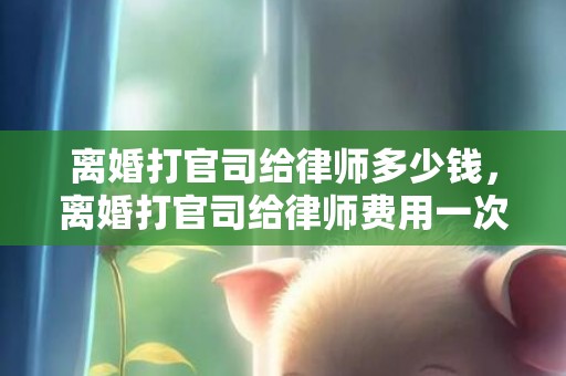 离婚打官司给律师多少钱，离婚打官司给律师费用一次性给完吗要多少钱？打官司律师收费标准