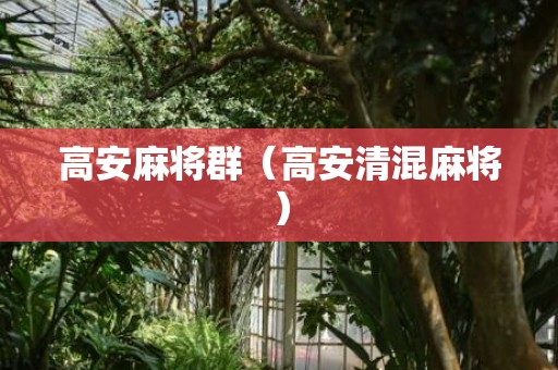 高安麻将群（高安清混麻将）