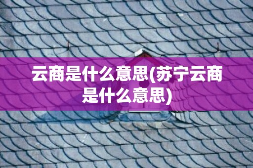 云商是什么意思(苏宁云商是什么意思)
