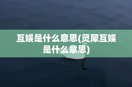 互娱是什么意思(灵犀互娱是什么意思)