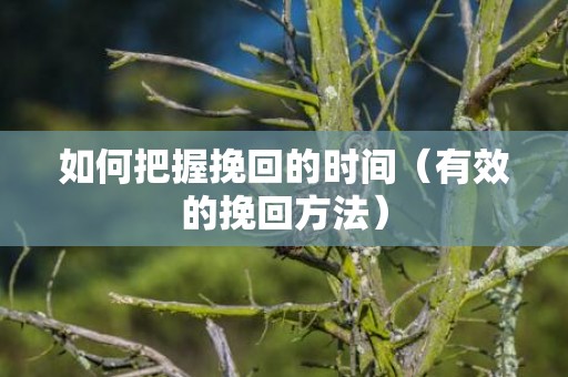 如何把握挽回的时间（有效的挽回方法）