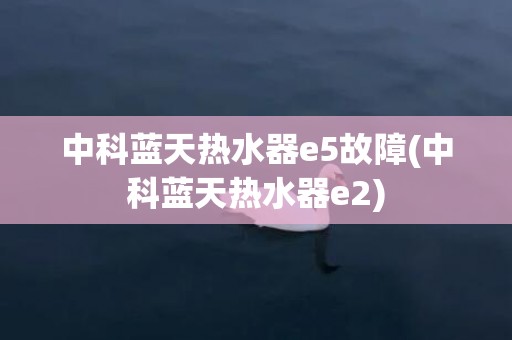 中科蓝天热水器e5故障(中科蓝天热水器e2)