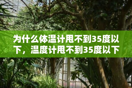 为什么体温计甩不到35度以下，温度计甩不到35度以下怎么回事