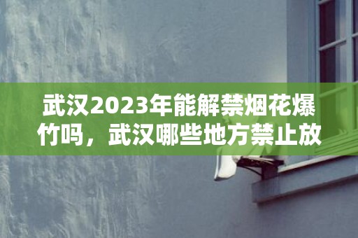 武汉2023年能解禁烟花爆竹吗，武汉哪些地方禁止放烟花